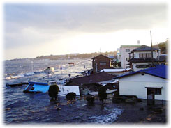 海岸近くの住宅に押し寄せる津波